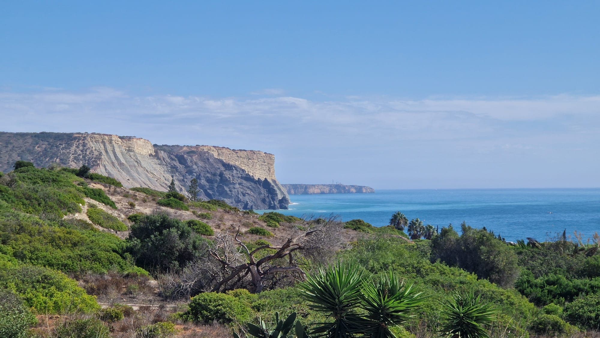 Landscape 1